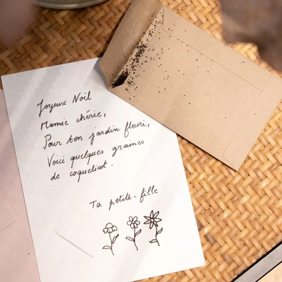 Discount Carte de voeux à planter "Joyeux Noël" DIY Et Activités Créatives|Plantes
