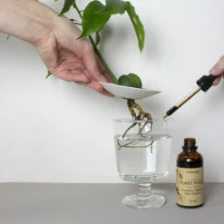 Hot Coffret de germination DIY Et Activités Créatives|Plantes