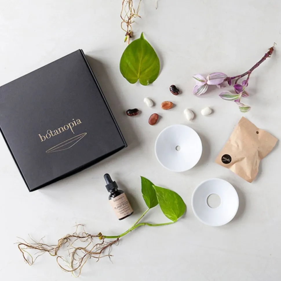 Hot Coffret de germination DIY Et Activités Créatives|Plantes