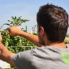 Fashion Initiez-vous à l’agriculture urbaine À Paris