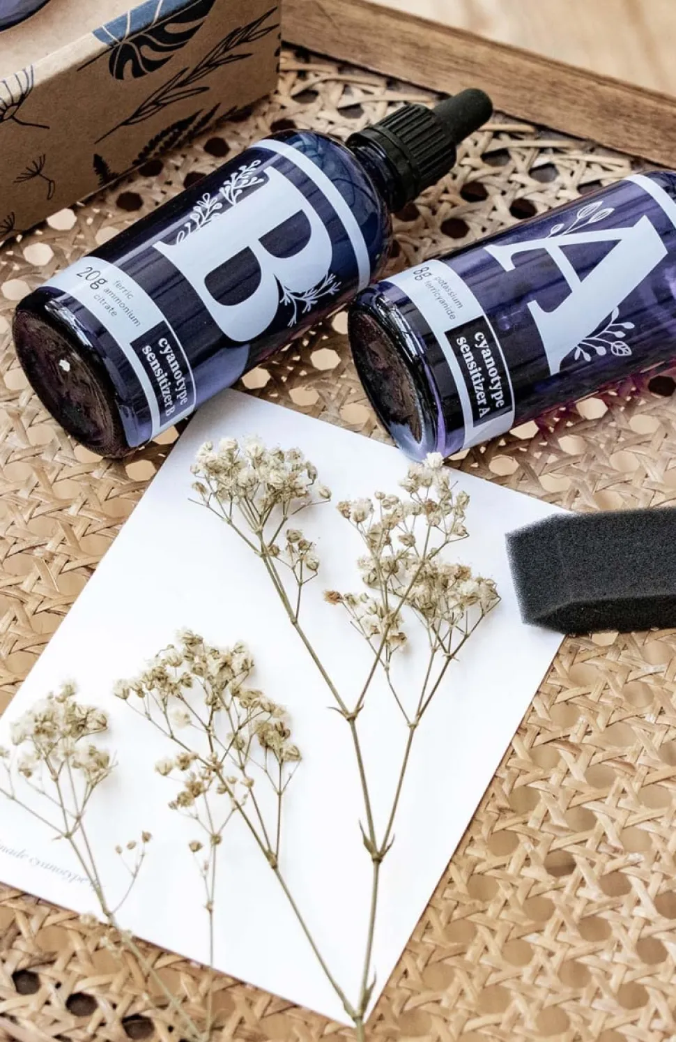 Fashion Kit de création de cyanotypes DIY Et Activités Créatives|Plantes