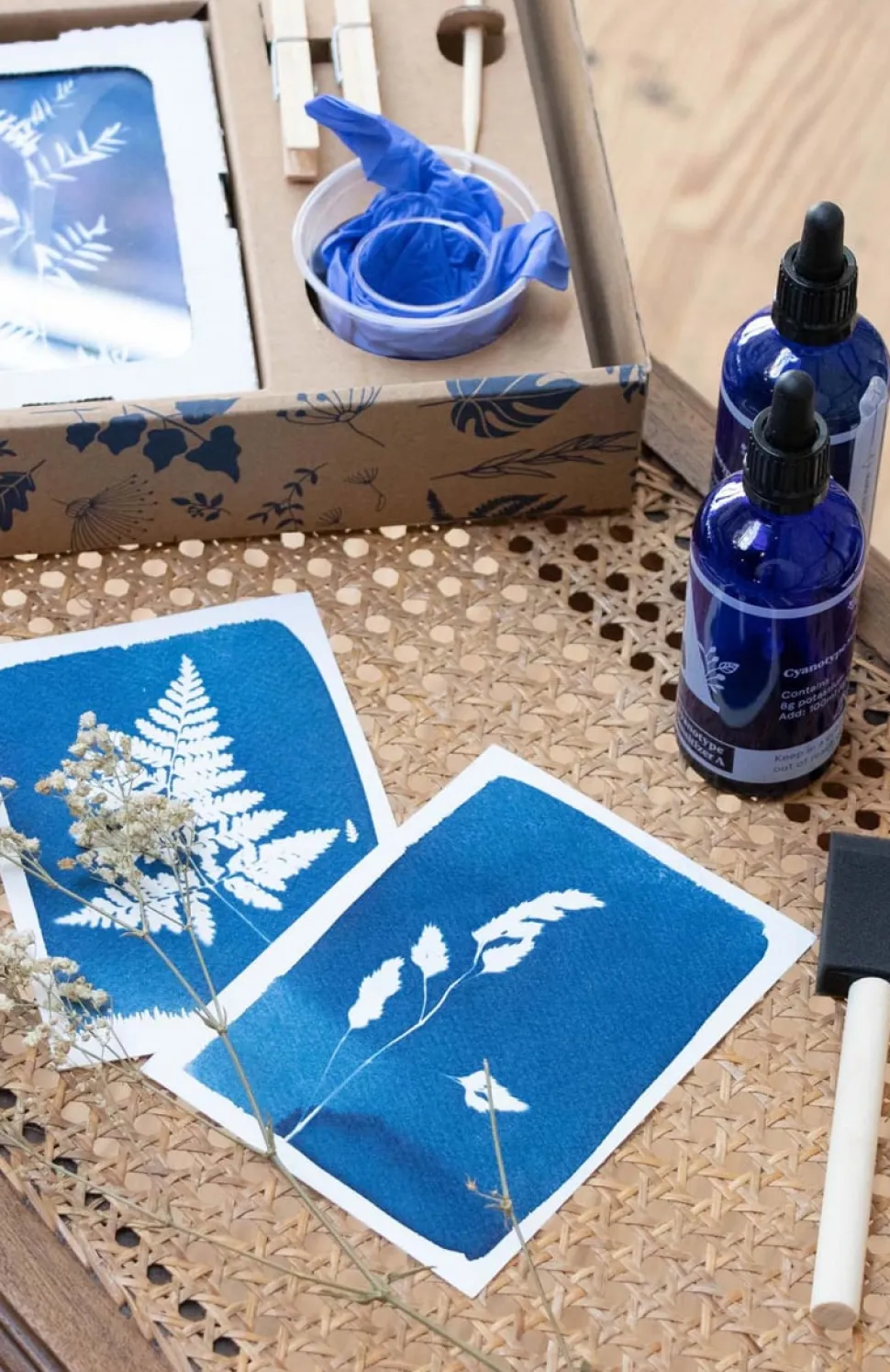 Fashion Kit de création de cyanotypes DIY Et Activités Créatives|Plantes