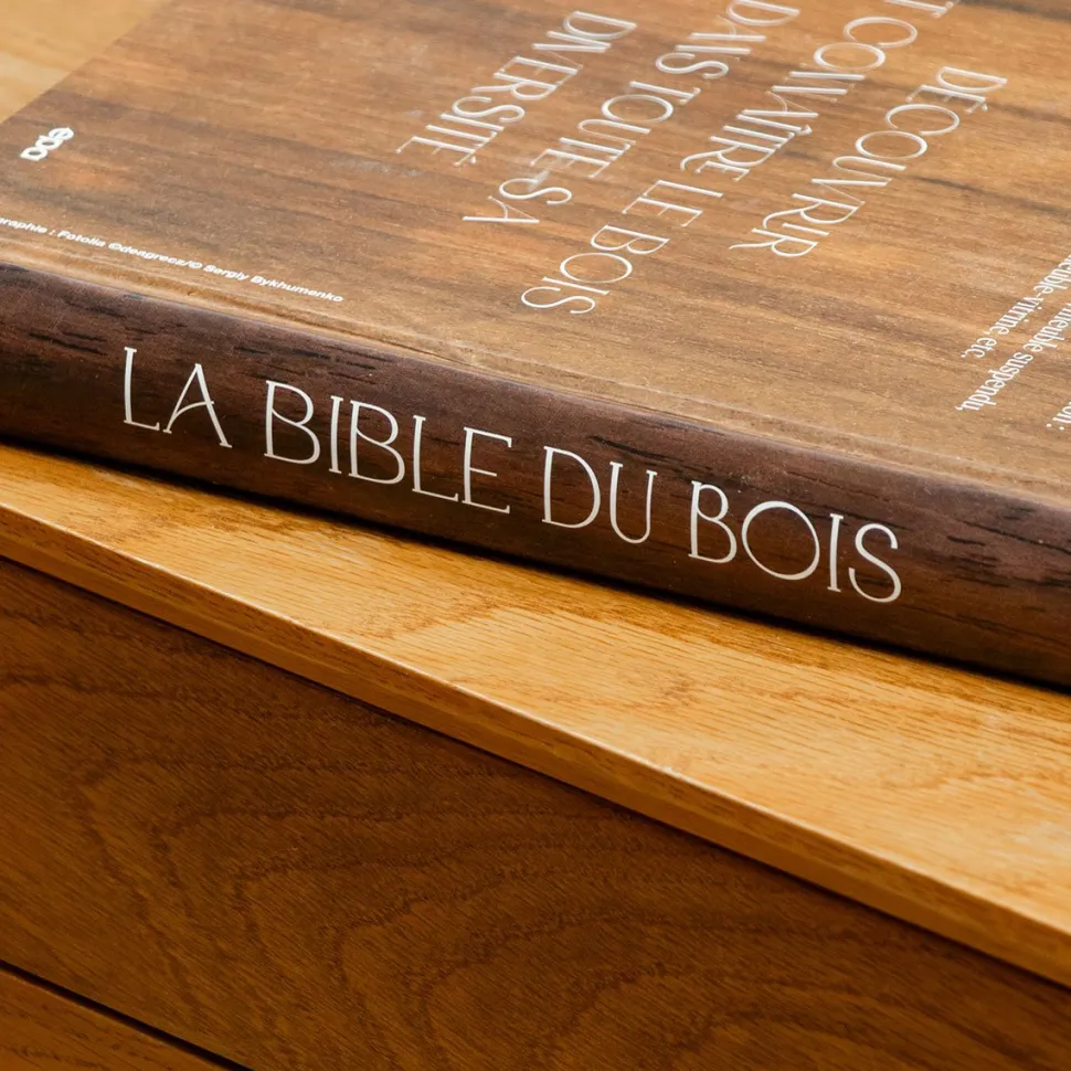 New Livre La bible du bois DIY Et Activités Créatives|Livres