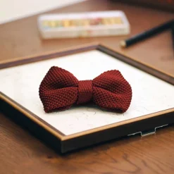 Hot Nœud papillon en tricot Homme Mode Et Accessoires