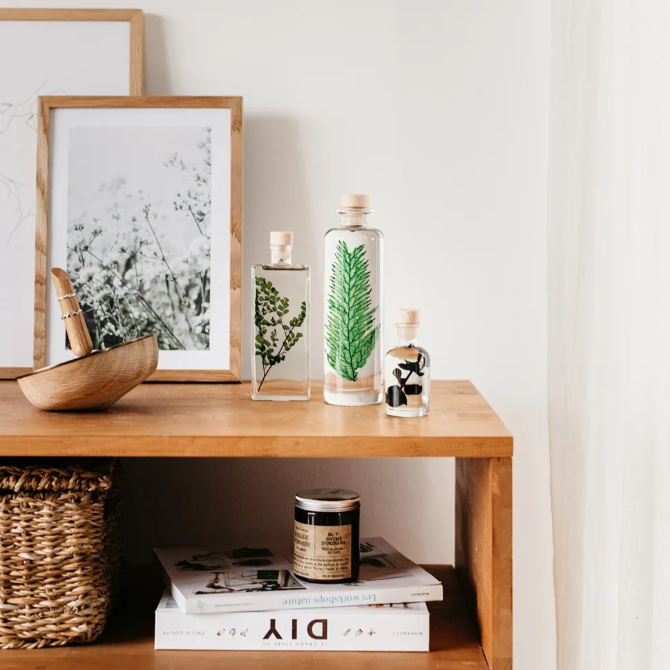 New Plantes immergées Décoration Et Cocooning|Plantes