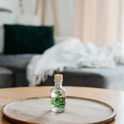 New Plantes immergées Décoration Et Cocooning|Plantes