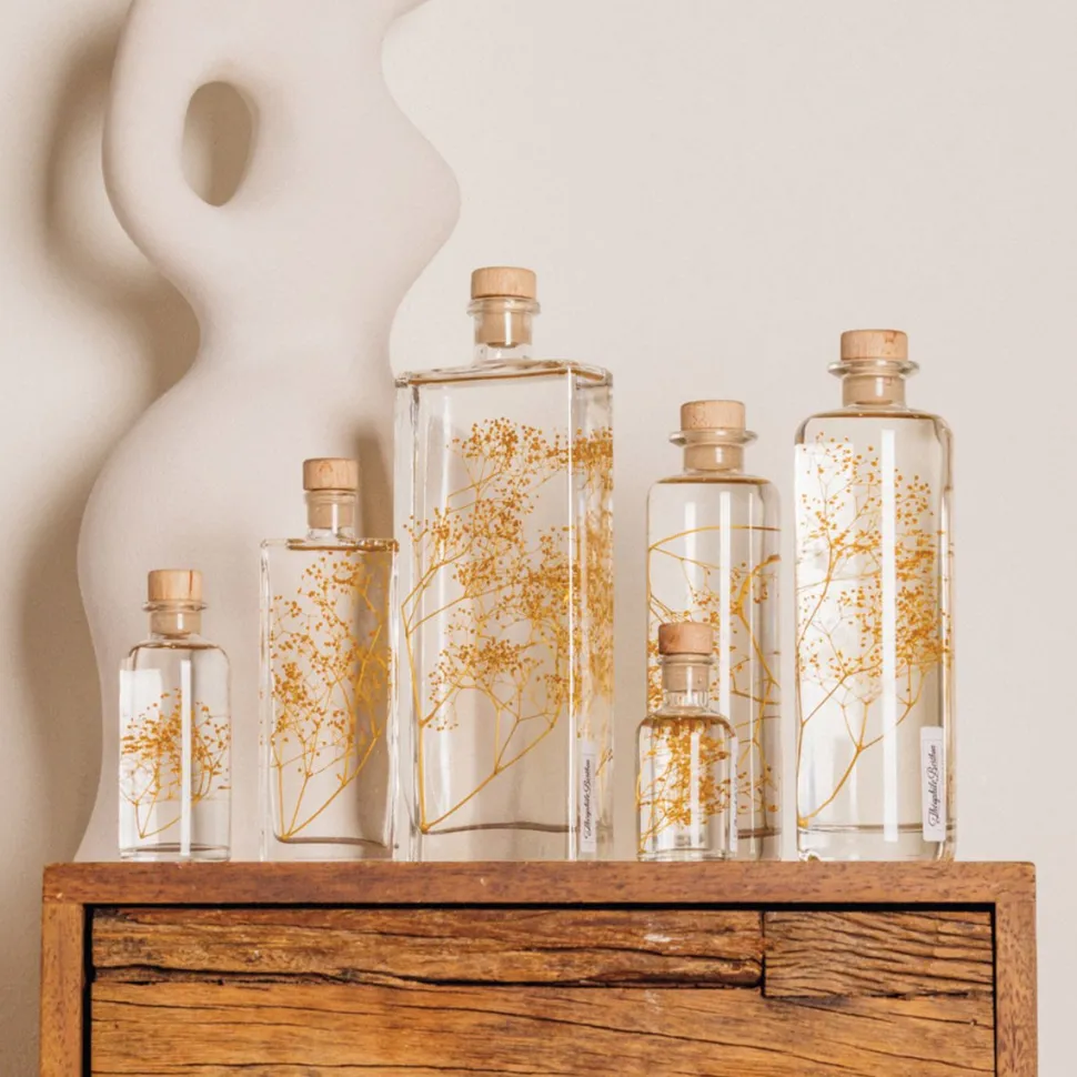 New Plantes immergées Décoration Et Cocooning|Plantes