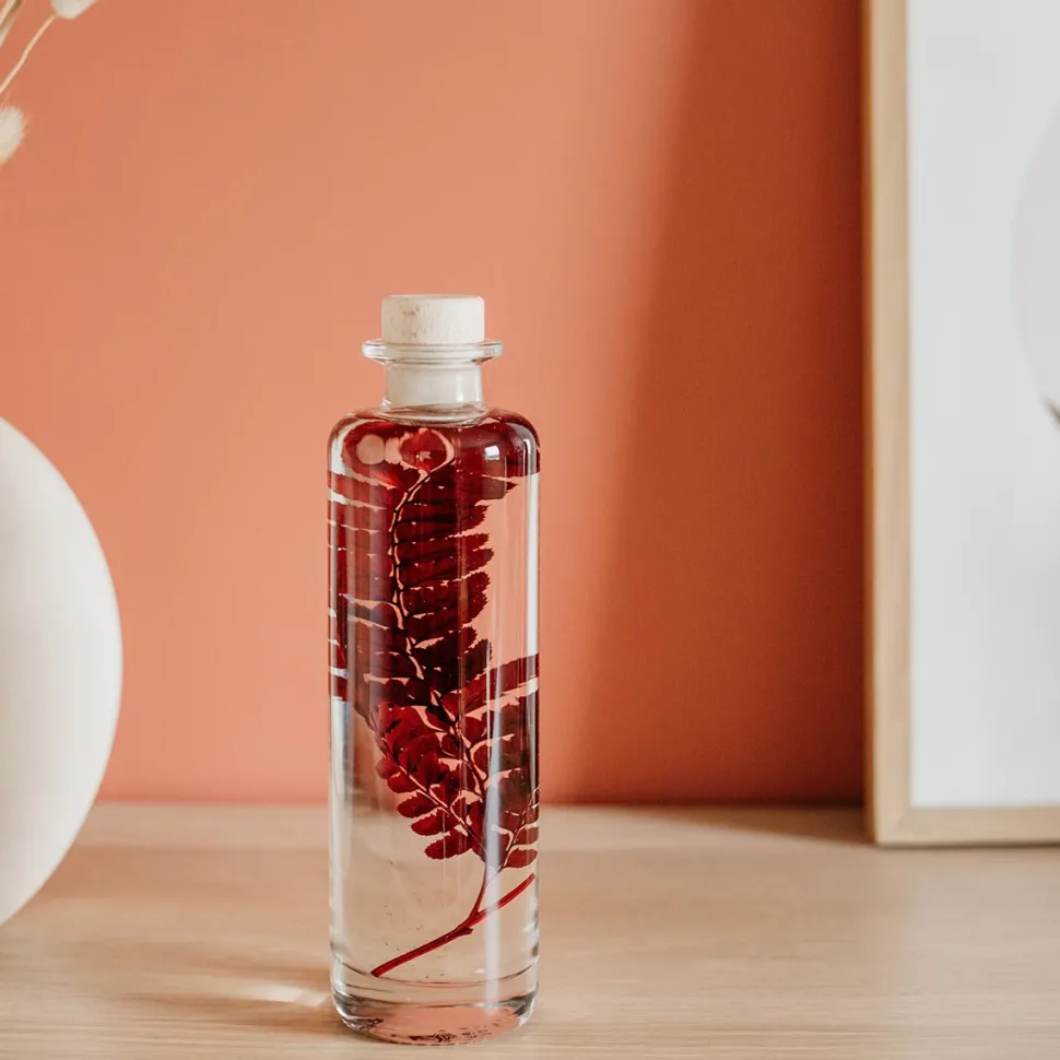 New Plantes immergées Décoration Et Cocooning|Plantes