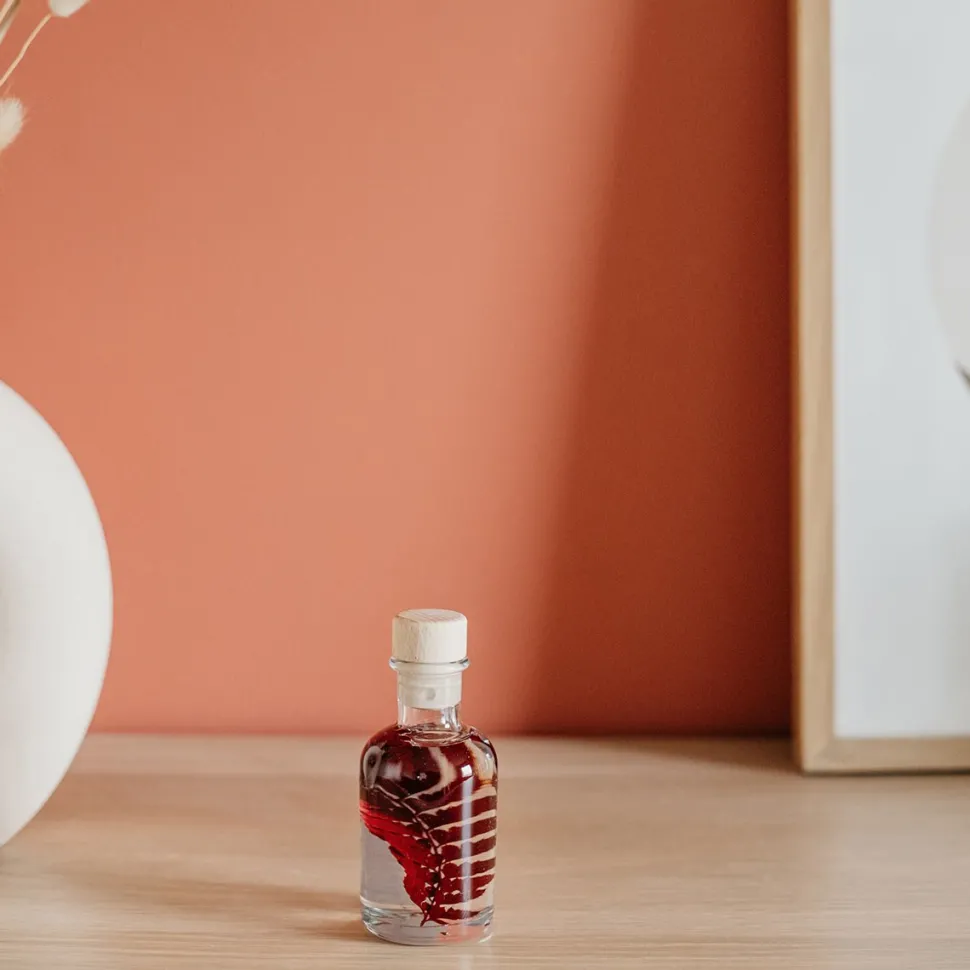 New Plantes immergées Décoration Et Cocooning|Plantes