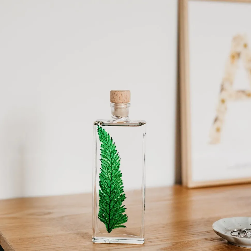 New Plantes immergées Décoration Et Cocooning|Plantes
