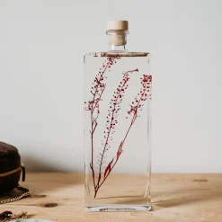 New Plantes immergées Décoration Et Cocooning|Plantes