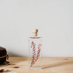 New Plantes immergées Décoration Et Cocooning|Plantes