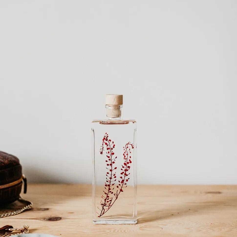 New Plantes immergées Décoration Et Cocooning|Plantes