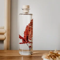 New Plantes immergées Décoration Et Cocooning|Plantes