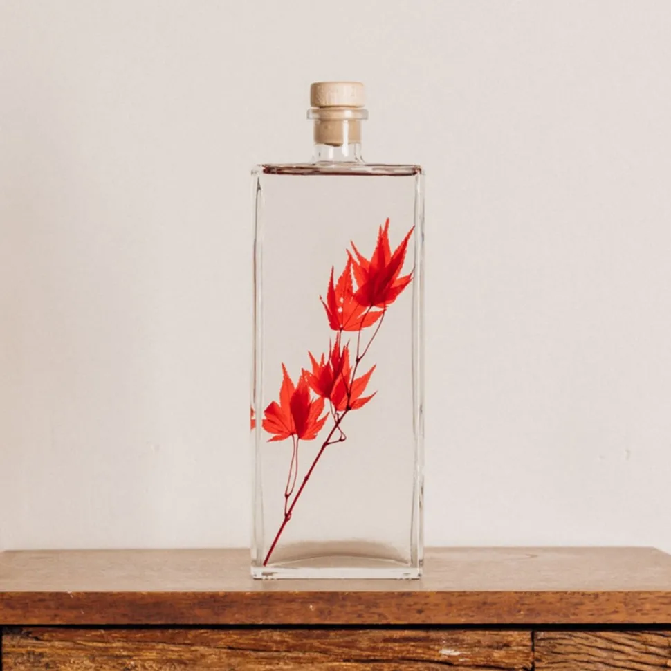 New Plantes immergées Décoration Et Cocooning|Plantes