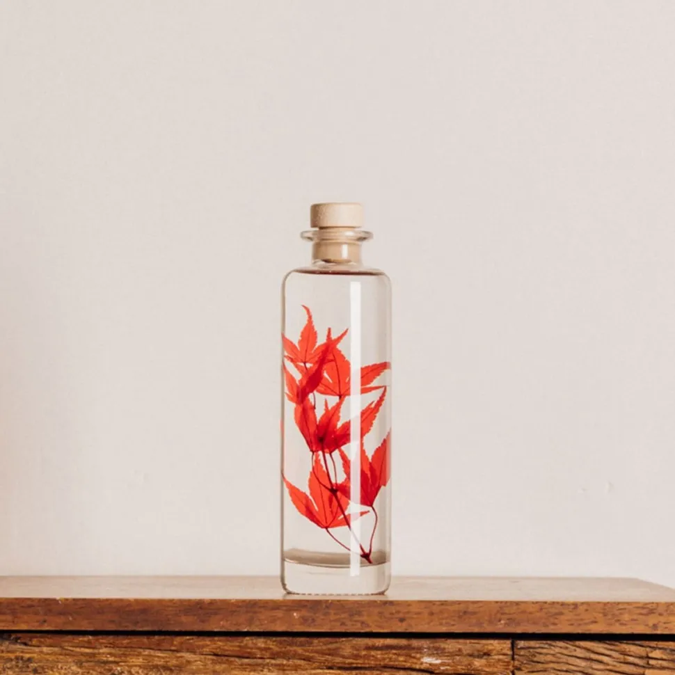 New Plantes immergées Décoration Et Cocooning|Plantes
