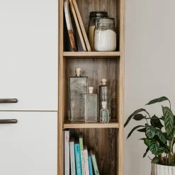 New Plantes immergées Décoration Et Cocooning|Plantes