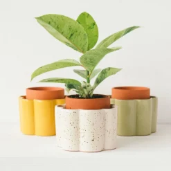 Hot Pot à arrosage autonome Plantes|Décoration Et Cocooning
