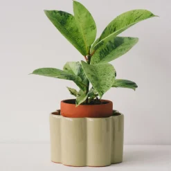 Hot Pot à arrosage autonome Plantes|Décoration Et Cocooning