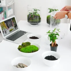 Discount Un terrarium à composer soi-même DIY Et Activités Créatives|Plantes